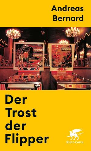 Bernhard Andreas - Der Trost der Flipper