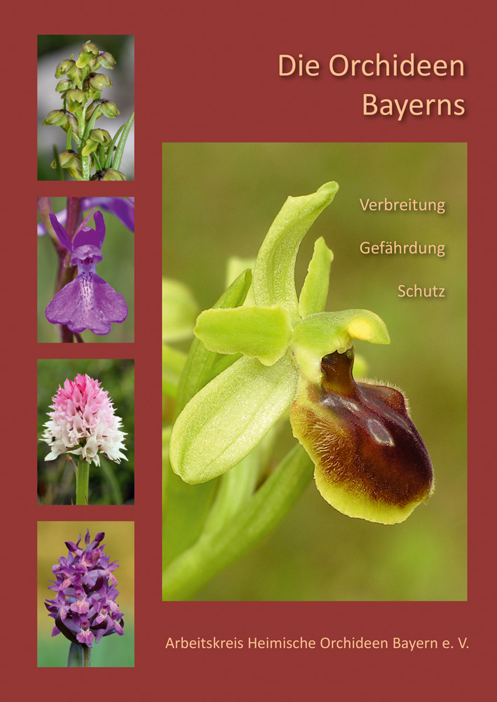  - Die Orchideen Bayerns