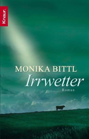 Bittl Monika - Irrwetter